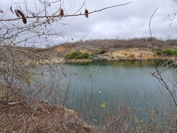 Venta de Terreno Agrícola de 288 Hectáreas - Chanduy, Santa Elena