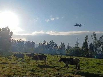 Hermoso Terreno en Venta en Cajamarca!