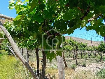 Venta casa en parcela de agrado, El Tambo, Valle de Elqui