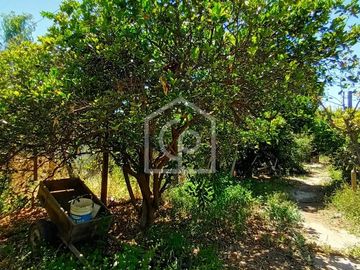 Venta casa en parcela de agrado, El Tambo, Valle de Elqui