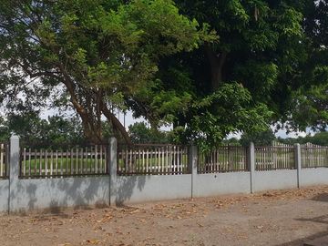 Brand New 2Storey Single House and Lot in The Orchard Golf and Country Club Dasmariñas Cavite