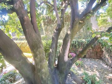 Residencia en Venta San Angel