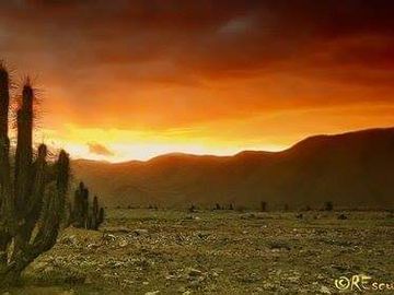 Sitio  de 5.000 m2 en El Llano, Los Choros