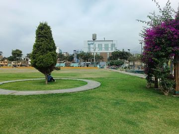 Venta De Departamento En Los Olivos