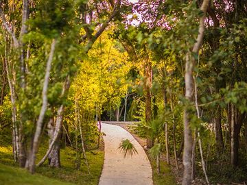 TERRENO EN VENTA EN SENDEROS RESIDENCIAL CIUDAD MAYAKOBA
