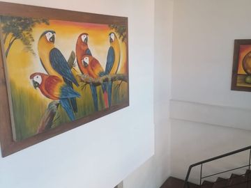 Vendo pent-house en Medellín (barrio Laureles)