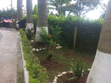 Vendo finca en Tarso Antioquia
