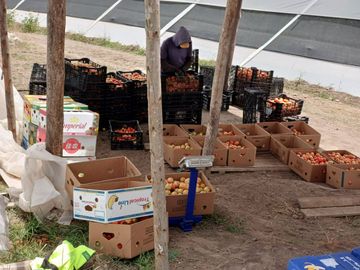 Finca en venta, Urcuqui - Tumbabiro