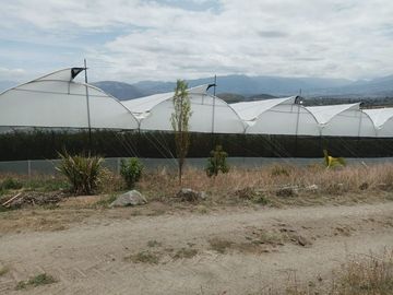 Finca en venta, Urcuqui - Tumbabiro