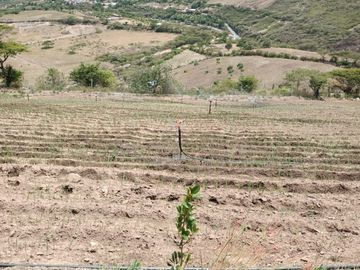 Finca en venta, Urcuqui - Tumbabiro
