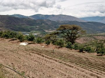 Finca en venta, Urcuqui - Tumbabiro