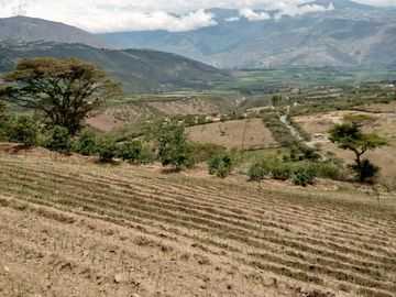 Finca en venta, Urcuqui - Tumbabiro