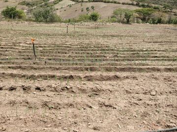 Finca en venta, Urcuqui - Tumbabiro