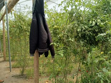 Finca en venta, Urcuqui - Tumbabiro