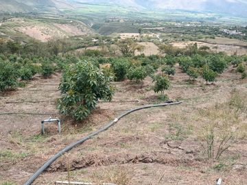 Finca en venta, Urcuqui - Tumbabiro