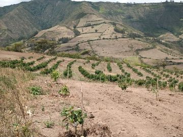 Finca en venta, Urcuqui - Tumbabiro