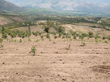 Finca en venta, Urcuqui - Tumbabiro