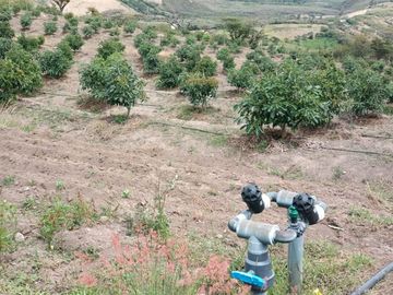 Finca en venta, Urcuqui - Tumbabiro