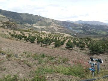 Finca en venta, Urcuqui - Tumbabiro