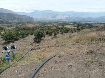 Finca en venta, Urcuqui - Tumbabiro