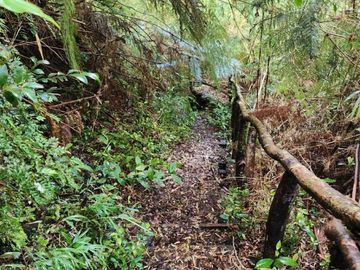 Cabañas y Centro de Eventos en Chiloé UF 6.576