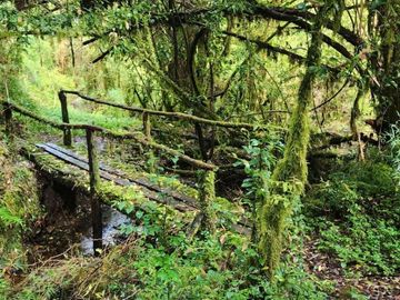 Cabañas y Centro de Eventos en Chiloé UF 6.576