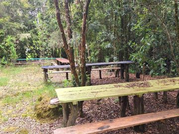 Cabañas y Centro de Eventos en Chiloé UF 6.576