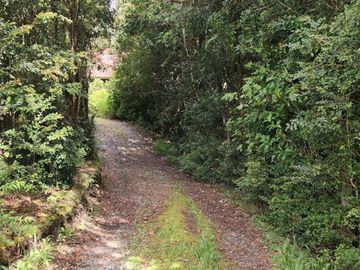 Cabañas y Centro de Eventos en Chiloé UF 6.576