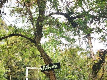 Cabañas y Centro de Eventos en Chiloé UF 6.576
