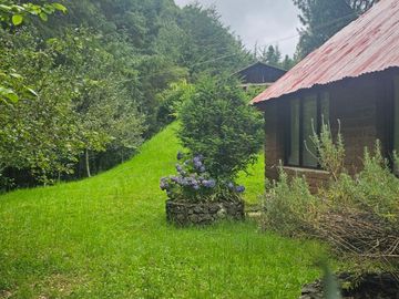 VENTA DE CABAÑA CON HERMOSOS JARDINES MINERAL DEL CHICO, CARBONERAS