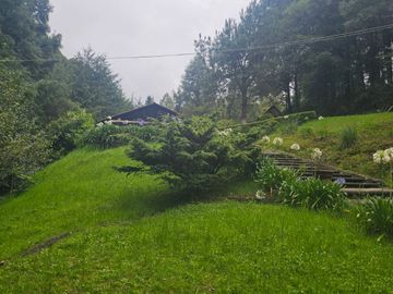 VENTA DE CABAÑA CON HERMOSOS JARDINES MINERAL DEL CHICO, CARBONERAS