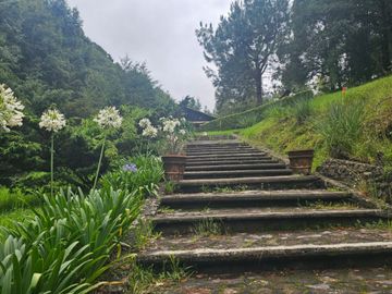 VENTA DE CABAÑA CON HERMOSOS JARDINES MINERAL DEL CHICO, CARBONERAS