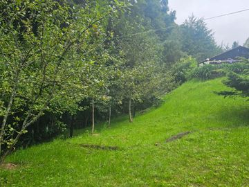 VENTA DE CABAÑA CON HERMOSOS JARDINES MINERAL DEL CHICO, CARBONERAS