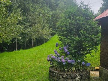 VENTA DE CABAÑA CON HERMOSOS JARDINES MINERAL DEL CHICO, CARBONERAS