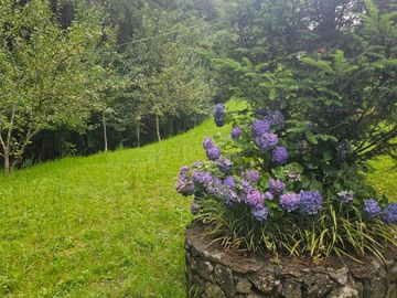 VENTA DE CABAÑA CON HERMOSOS JARDINES MINERAL DEL CHICO, CARBONERAS
