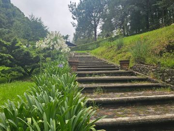 VENTA DE CABAÑA CON HERMOSOS JARDINES MINERAL DEL CHICO, CARBONERAS
