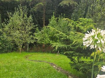 VENTA DE CABAÑA CON HERMOSOS JARDINES MINERAL DEL CHICO, CARBONERAS