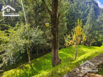 VENTA DE CABAÑA CON HERMOSOS JARDINES MINERAL DEL CHICO, CARBONERAS
