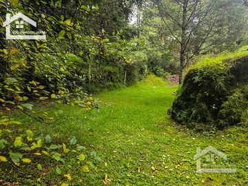 VENTA DE CABAÑA CON HERMOSOS JARDINES MINERAL DEL CHICO, CARBONERAS