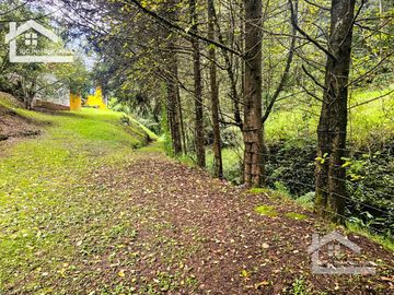 VENTA DE CABAÑA CON HERMOSOS JARDINES MINERAL DEL CHICO, CARBONERAS