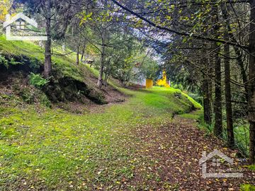 VENTA DE CABAÑA CON HERMOSOS JARDINES MINERAL DEL CHICO, CARBONERAS