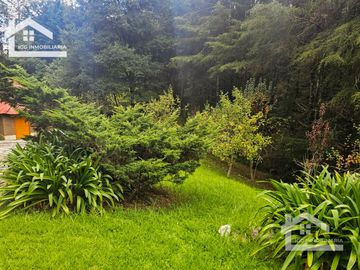 VENTA DE CABAÑA CON HERMOSOS JARDINES MINERAL DEL CHICO, CARBONERAS