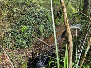 VENTA DE CABAÑA CON HERMOSOS JARDINES MINERAL DEL CHICO, CARBONERAS