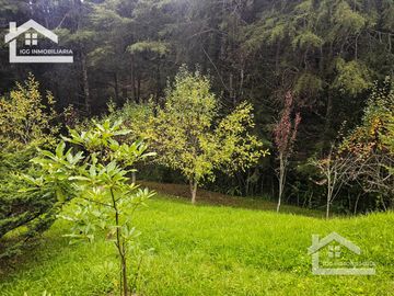 VENTA DE CABAÑA CON HERMOSOS JARDINES MINERAL DEL CHICO, CARBONERAS