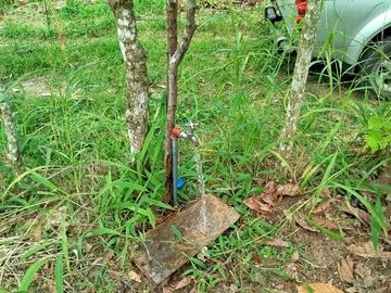PUERTO QUITO, VENDO TERRENO 10.000m2, CACAOTERO, PLANITO.