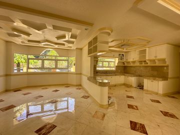 7 BEDROOMS CORNER MEDITERREANEAN DESIGN HOUSE AND LOT FOR SALE IN BF HOMES PARANAQUE
