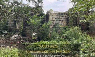 Prime Commercial Lot for Sale in Malabon City – Ideal for Your Next Project