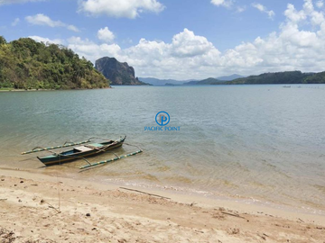 11.606 hectares Lot for Sale in Bebeladan, El Nido,  Palawan