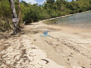 11.606 hectares Lot for Sale in Bebeladan, El Nido,  Palawan