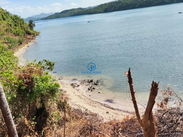 11.606 hectares Lot for Sale in Bebeladan, El Nido,  Palawan